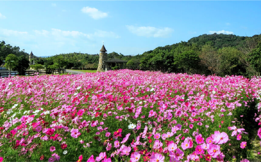 モニュメントお花畑