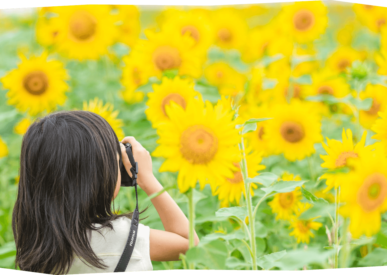 四季を彩る花々との出会いを楽しもう