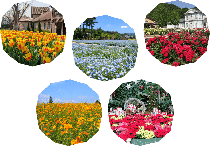 お花カレンダー
