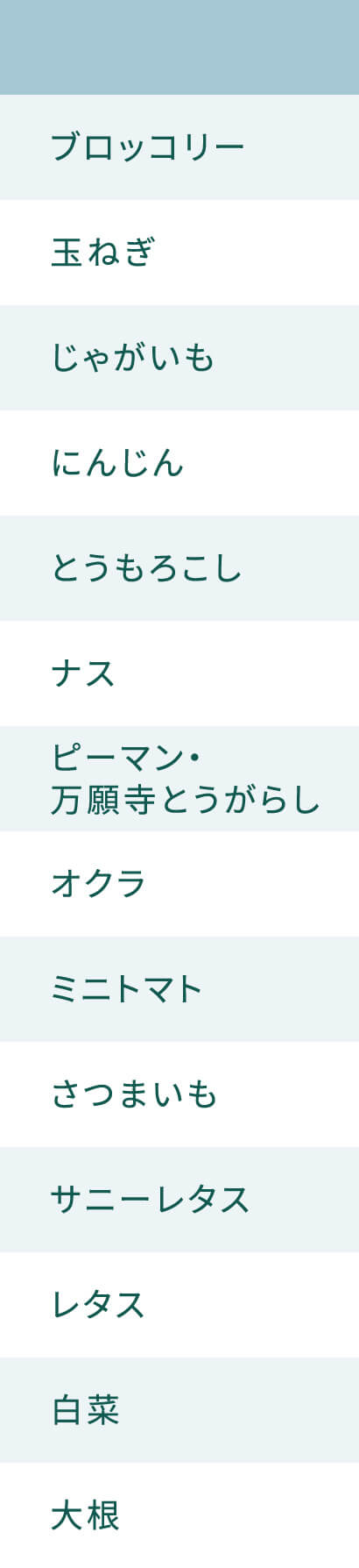 収穫野菜