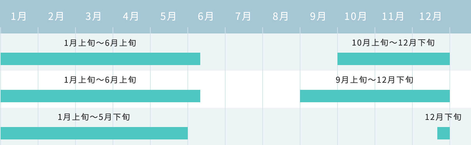 収穫時期